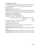 Biznesa plāns 'Biznesa plāns', 6.