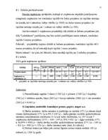 Biznesa plāns 'Biznesa plāns', 12.