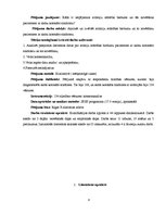 Referāts 'Aritmijas attīstības biežums un tās novērtēšana pacientiem ar akūtu koronāro sin', 8.