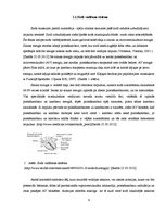 Referāts 'Aritmijas attīstības biežums un tās novērtēšana pacientiem ar akūtu koronāro sin', 9.