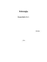 Referāts 'Politikas būtība', 1.