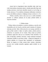 Referāts 'Politikas būtība', 3.