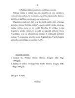 Referāts 'Politikas būtība', 9.