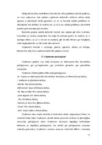 Prakses atskaite 'Prakses atskaite celtniecības uzņēmumā "X"', 17.