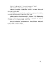 Prakses atskaite 'Prakses atskaite celtniecības uzņēmumā "X"', 19.