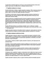 Konspekts 'Darba tiesības', 14.