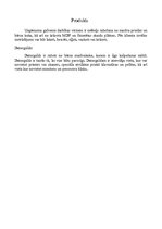 Biznesa plāns 'SIA "Daiļrade koks" biznesa plāns', 4.