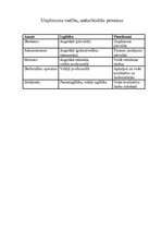 Biznesa plāns 'SIA "Daiļrade koks" biznesa plāns', 7.