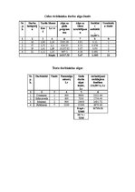 Biznesa plāns 'SIA "Daiļrade koks" biznesa plāns', 13.