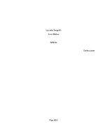 Referāts 'Referāts par latviešu fotogrāfu Arni Balču', 1.