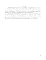 Referāts 'Referāts par latviešu fotogrāfu Arni Balču', 10.