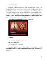 Referāts 'Smēķēšana jauniešu vidū', 12.