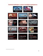 Referāts 'Smēķēšana jauniešu vidū', 15.