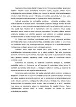 Eseja 'Maikls Porters "Konkurences stratēģija - tehnikas industriju un konkurentu analī', 2.