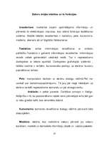 Referāts 'Dators', 20.