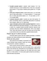 Referāts 'Printeri', 3.