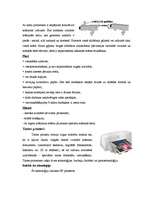 Referāts 'Printeri', 4.