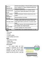 Referāts 'Printeri', 8.