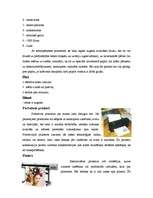 Referāts 'Printeri', 10.