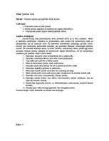 Prakses atskaite 'Prakses atskaite no 1. klases - 4. klasei visos sākumskolas priekšmetos', 4.