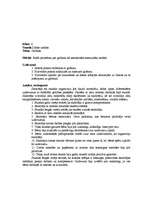 Prakses atskaite 'Prakses atskaite no 1. klases - 4. klasei visos sākumskolas priekšmetos', 13.