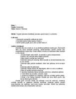 Prakses atskaite 'Prakses atskaite no 1. klases - 4. klasei visos sākumskolas priekšmetos', 19.