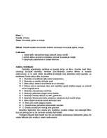 Prakses atskaite 'Prakses atskaite no 1. klases - 4. klasei visos sākumskolas priekšmetos', 21.