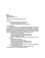 Prakses atskaite 'Prakses atskaite no 1. klases - 4. klasei visos sākumskolas priekšmetos', 22.