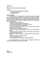 Prakses atskaite 'Prakses atskaite no 1. klases - 4. klasei visos sākumskolas priekšmetos', 24.