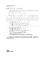 Prakses atskaite 'Prakses atskaite no 1. klases - 4. klasei visos sākumskolas priekšmetos', 27.