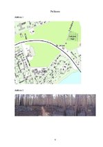 Konspekts 'Meža ugunsgrēks', 6.