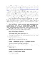 Referāts 'Eiropas Ekonomikas un monetārā savienība', 13.