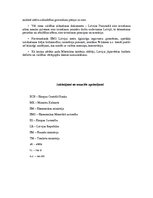 Referāts 'Eiropas Ekonomikas un monetārā savienība', 16.