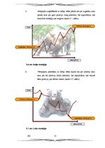 Diplomdarbs 'Vērtspapīru tirgus', 41.