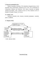 Diplomdarbs 'Mīlestības komponentu izteiktības pakāpju atšķirības', 5.
