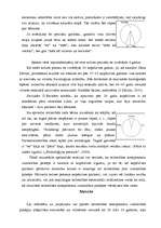 Diplomdarbs 'Mīlestības komponentu izteiktības pakāpju atšķirības', 29.