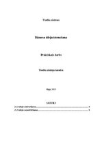 Referāts 'Biznesa ideju īstenošana', 1.