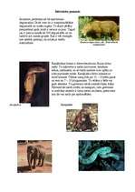 Referāts 'Dienvidaustrumu Āzija', 5.