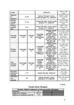 Referāts 'Viesnīcas finanšu rādītāju analīze', 13.