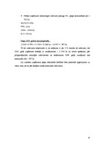 Referāts 'Viesnīcas finanšu rādītāju analīze', 19.