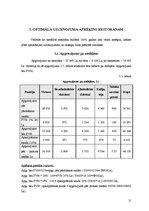 Referāts 'Viesnīcas finanšu rādītāju analīze', 21.
