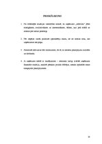 Referāts 'Viesnīcas finanšu rādītāju analīze', 26.