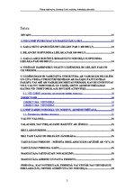 Prakses atskaite 'Valsts ieņēmumu dienesta lielo nodokļu maksātāju pārvalde', 2.