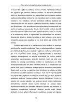 Prakses atskaite 'Valsts ieņēmumu dienesta lielo nodokļu maksātāju pārvalde', 38.