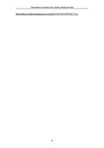 Prakses atskaite 'Valsts ieņēmumu dienesta lielo nodokļu maksātāju pārvalde', 53.