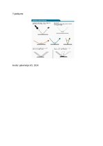 Konspekts 'Viena temata apguves plāna izstrāde  Temata nosaukums:  Kā rodas un izplatās gai', 41.