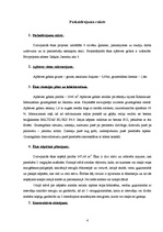 Referāts 'Divstāvu dzīvojamā māja 8 ģimenes locekļiem', 4.