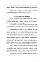 Referāts 'Vides ētika', 5.