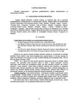 Referāts 'Latgales reģiona apraksts pēc vairākiem parametriem', 25.