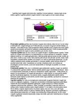 Referāts 'Latgales reģiona apraksts pēc vairākiem parametriem', 32.